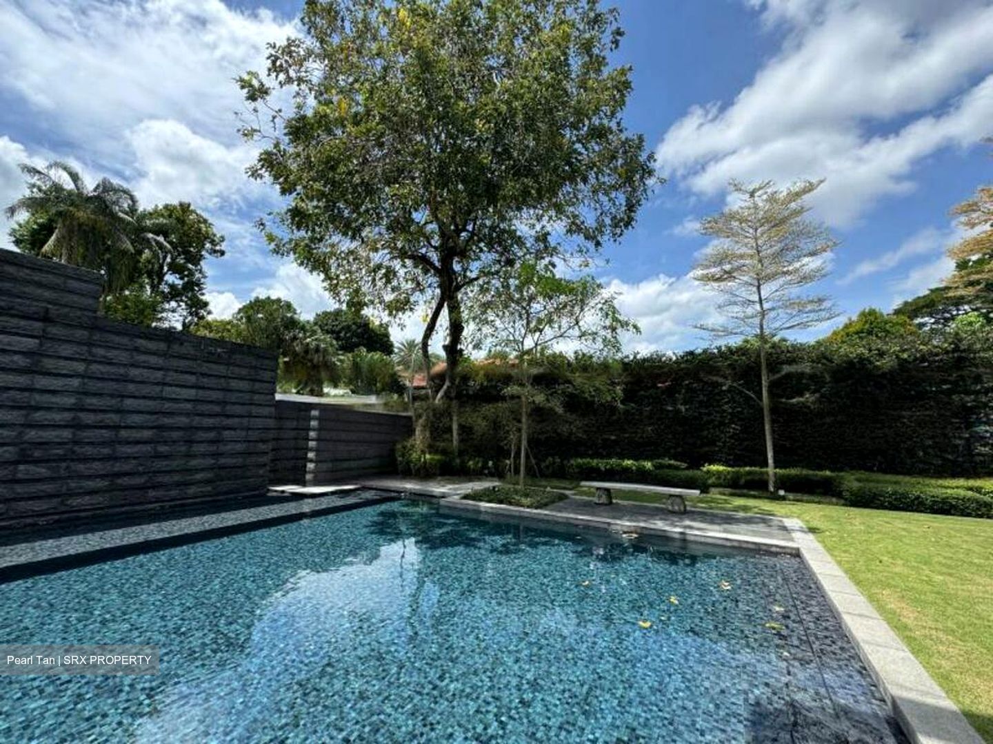 Leedon Park (D10), Detached #470750181